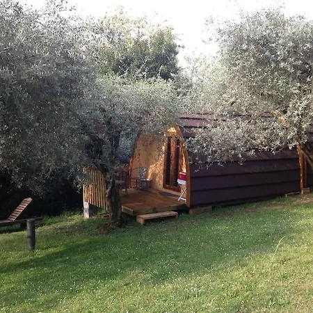 Orman Evi Igloo Garden