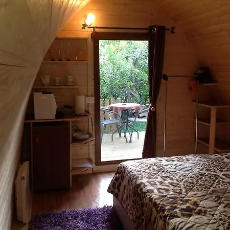 Orman Evi Igloo Garden *
